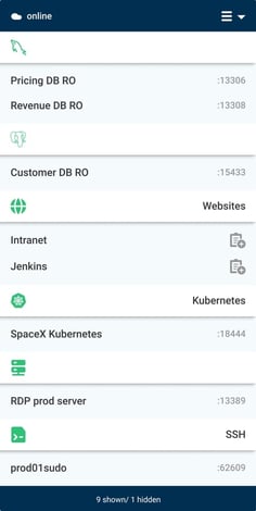 strongDM local client SSO