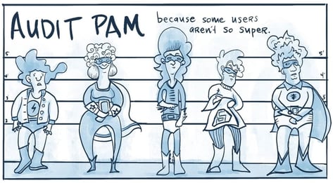 audit pam
